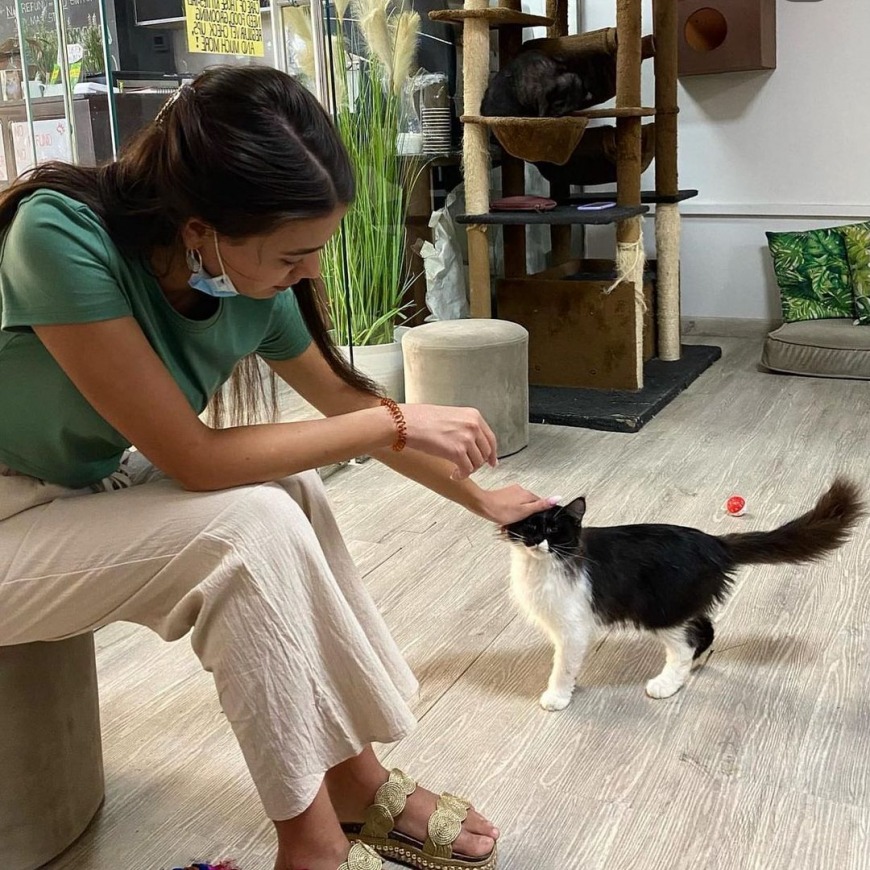 Pet cafes in Dubai and Abu Dhabi